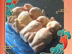 白条鸡系列